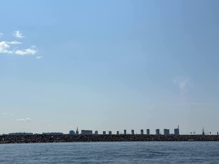 Город для семьи: почему намывы становятся новой точкой притяжения для петербургских родителей