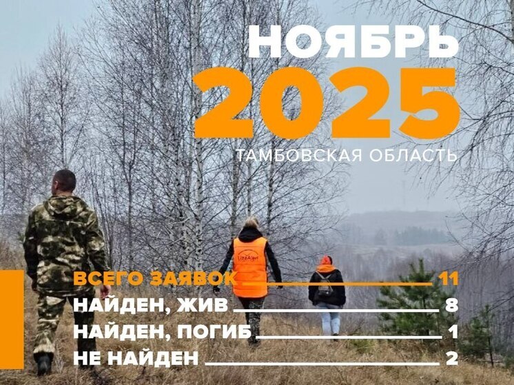 Тамбовские добровольцы в строю: «ЛизаАлерт» подвела итоги ноября