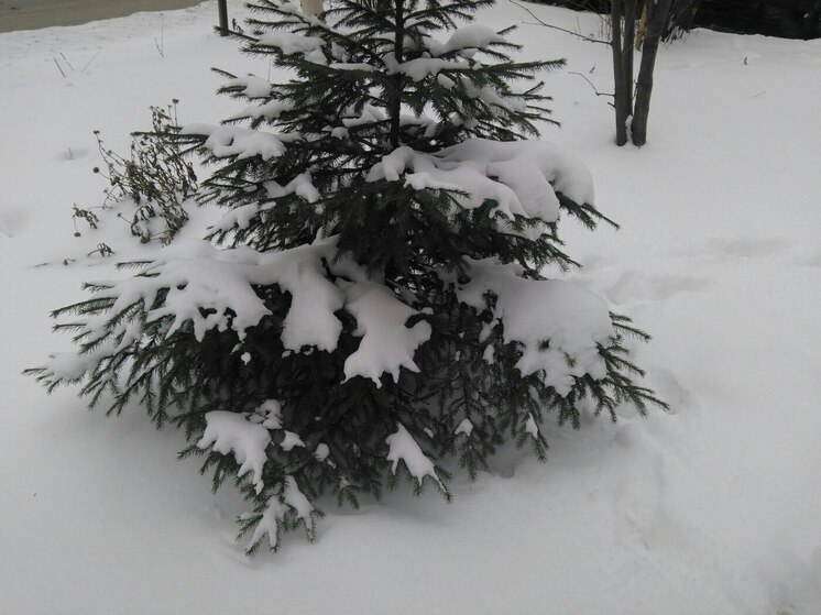 Морозы в Перми сменятся коротким потеплением