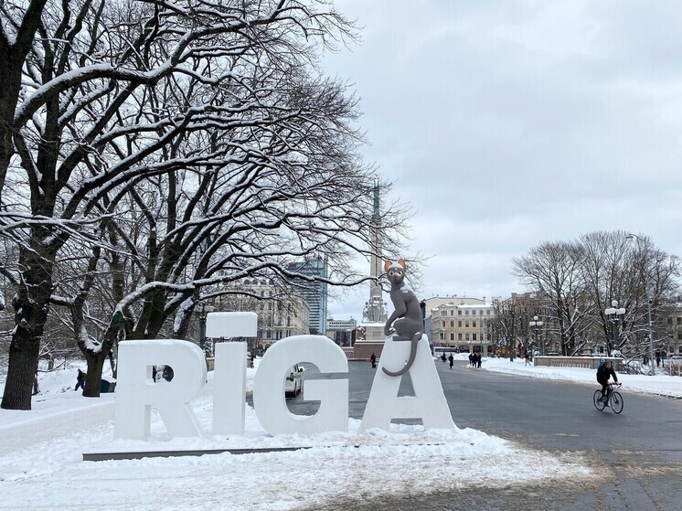 Из-за нехватки мужчин «мужья на час» в Латвии помогают не только в быту