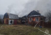 В Волжске загорелся частный дом, пострадал его владелец.