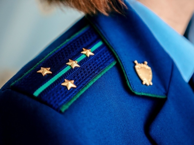 Штраф за оскорбление в школьном чате получила жительница Тверской области