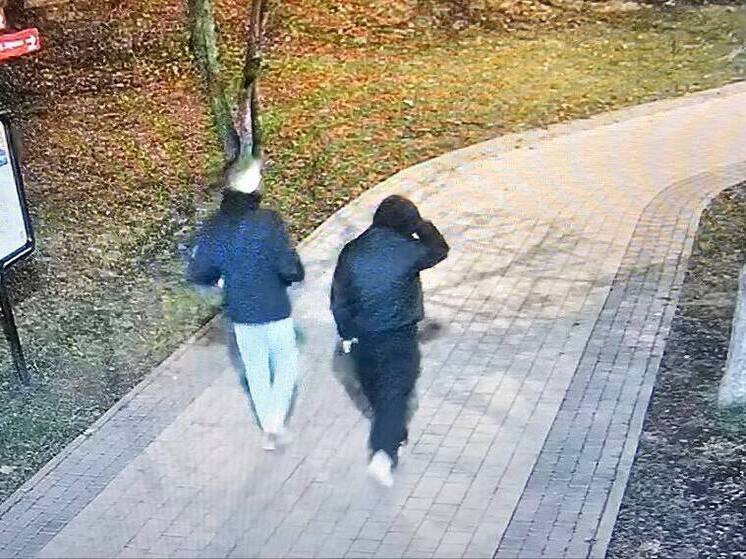 В центре Обнинска засняли вандалов