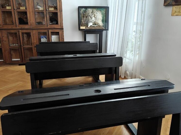 Новгородцам рассказали, что проблему школьной травли решит раздельное обучение