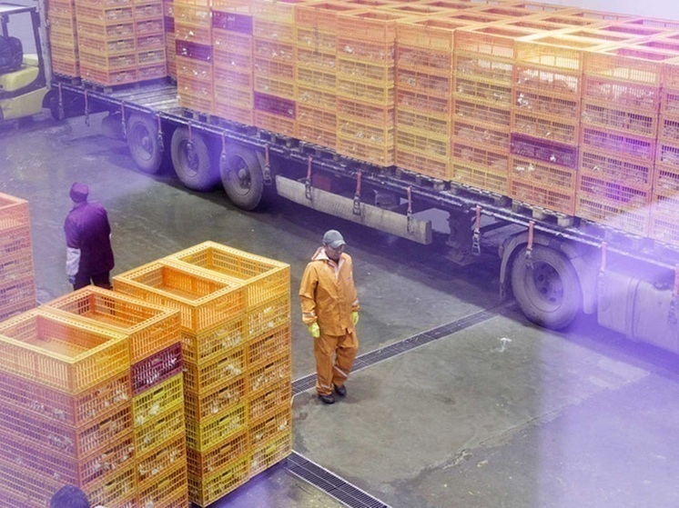 Против «Воловского бройлера» подан новый иск на 7 млн рублей