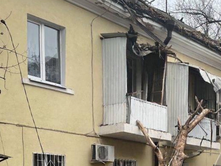 Из-за сильного ветра громадное дерево упало на жилой дом в Ростове