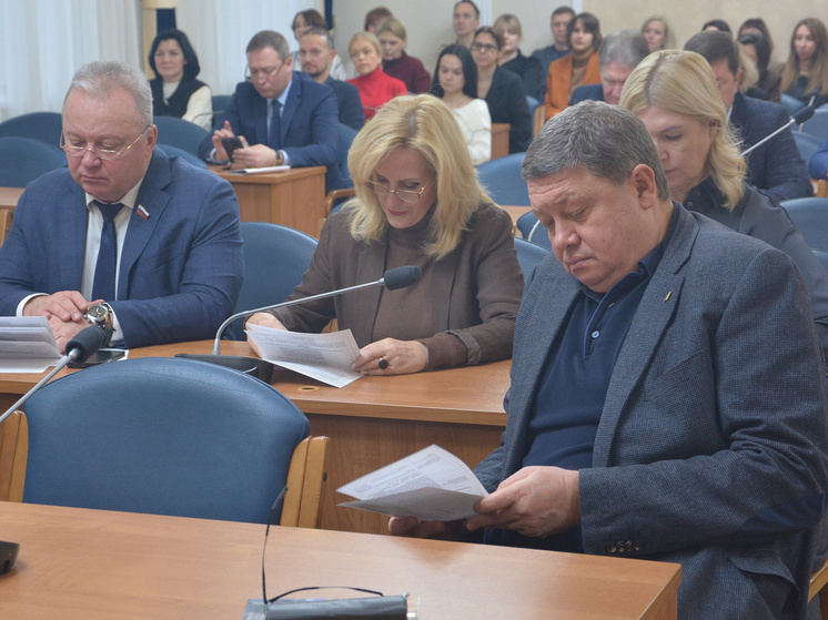 Доходы бюджета Воронежа на 2026 год предложили увеличить на 404 млн рублей