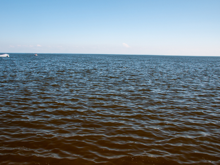 На берег в Дагестане выбросило тысячи пачек грузинских сигарет