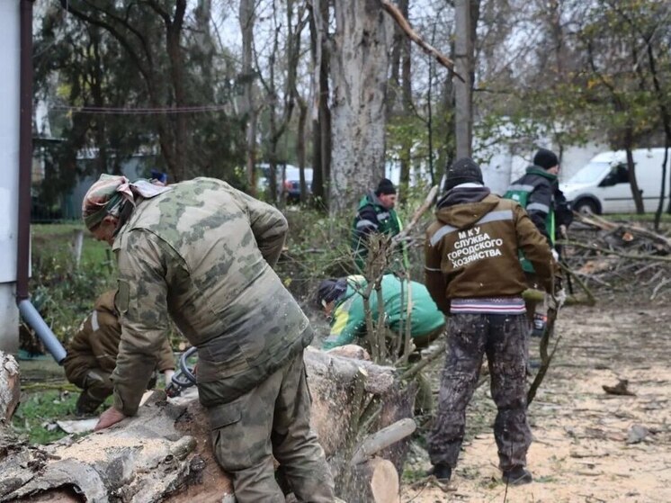В Керчи устраняют последствия сильного ветра