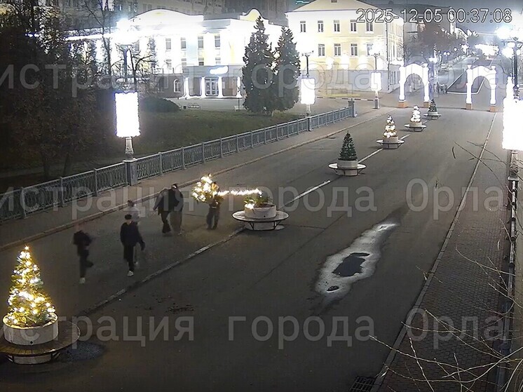 В Орле новогодняя ёлка на Ленинском мосту пострадала от действий вандалов