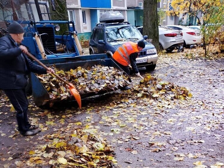 В Курске комиссия проверила чистоту более 60 дворов МКД