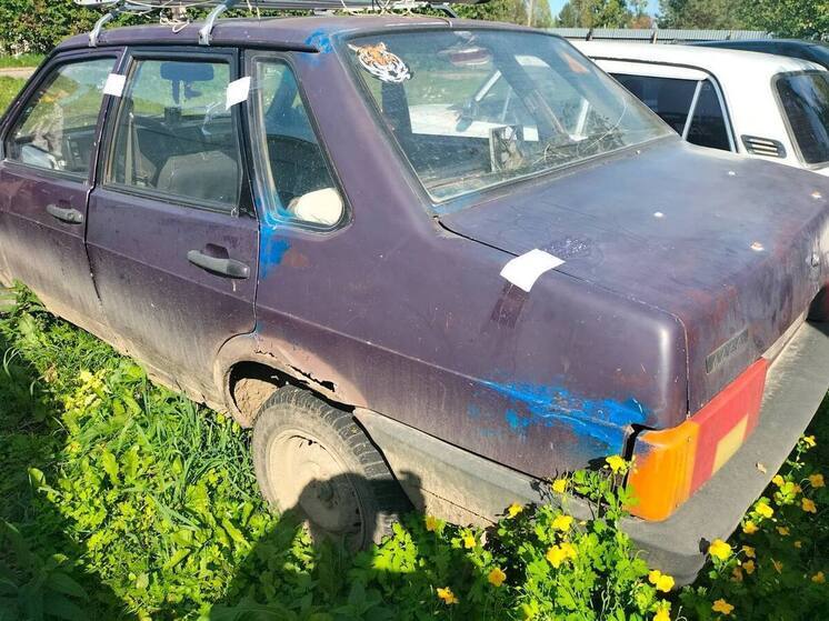 Житель Бакчарского района лишился авто за повторное вождение в пьяном виде