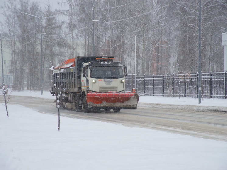 Текслер проверит, как в Челябинской области проходит уборка снега