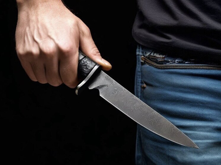 Порховский суд приговорил жителя Санкт-Петербурга к 8 годам колонии за убийство