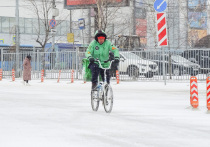 Тренд, набравший обороты во время пандемии, к 2025 году превратился в устойчивую социальную норму