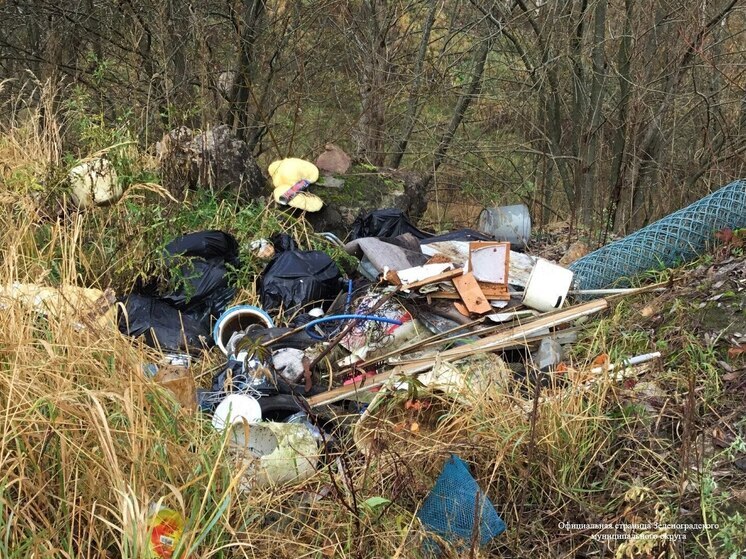 Калининградца наругали за выращивание борщевика и мусора на плодородных полях