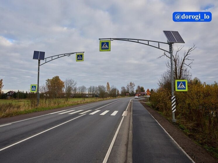 Дорожные службы Ленобласти подвели предварительные итоги года