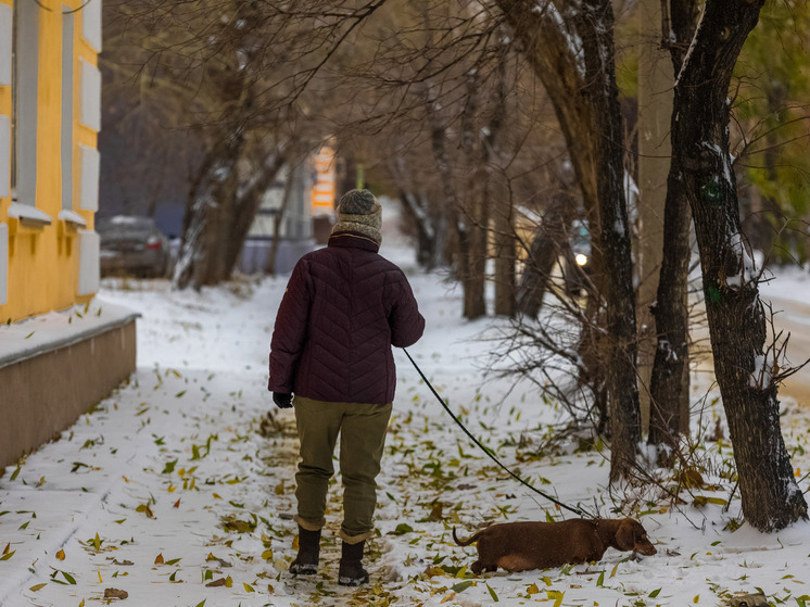 Приметы на Юрьев день: что нельзя делать 9 декабря 2025 года