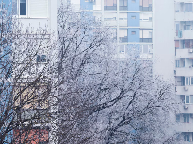 9 декабря брянцам синоптики обещают снег