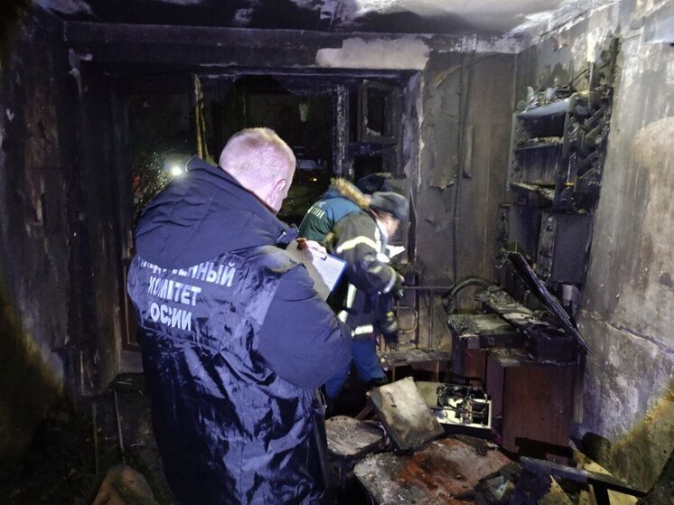 Уголовное дело по факту гибели мужчины на пожаре возбуждено в Вологде