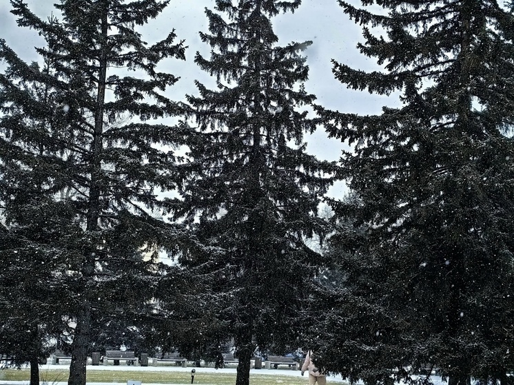 Синоптики пообещали снегопады и мороз до -20 градусов в Хакасии