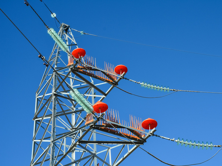 Энергетики «Ставропольэнерго» установили на линиях электропередачи 916 птицезащитных устройств