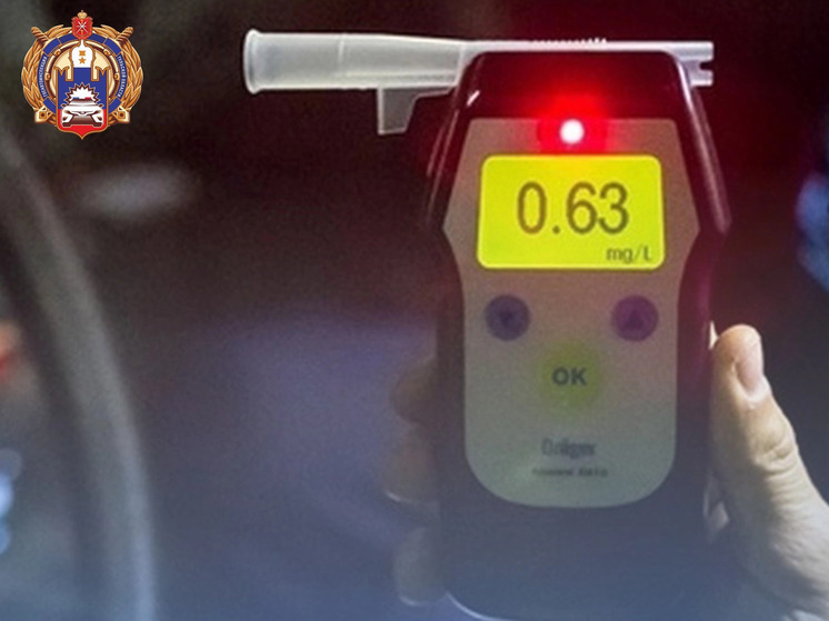 За выходные в Тульской области поймали более 20 пьяных водителей