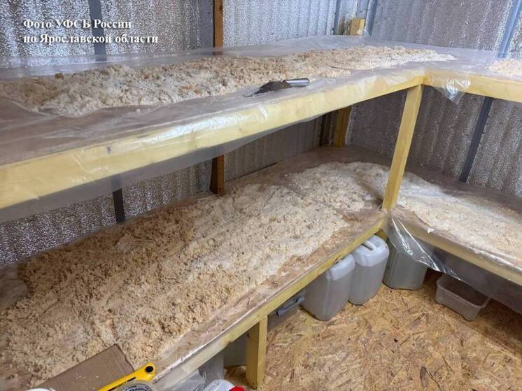 Житель Череповца организовал нарколабораторию в Ярославской области