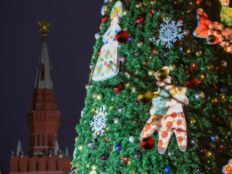 26-метровую ель из Рузского леса доставят на Соборную площадь Кремля