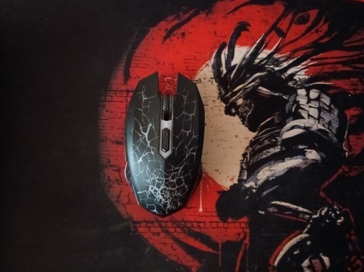 Трое юных мурманчан попались на краже компьютерных мышей