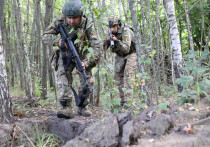 ВС РФ могут воспользоваться охлаждением США к украинскому вопросу и приступить к радикальным действиям на поле боя