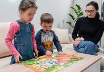 Пополнить перечень общественно полезных услуг, за которые можно будет получить помощь и поощрение от государства, предлагает Министерство экономического развития Российской Федерации