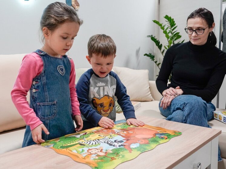 За  оказание услуг медиации НКО смогут рассчитывать на господдержку