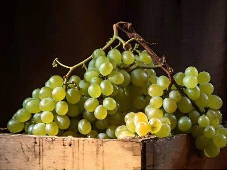 В Новосибирской области остановили ввоз более 90 тонн заражённых овощей и фруктов