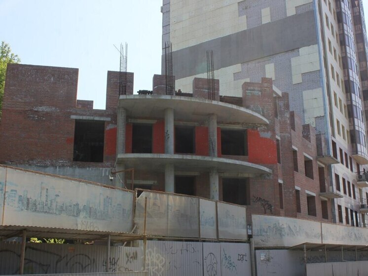 В Самарской области Минград отклонил проект выделения земли многодетным семьям