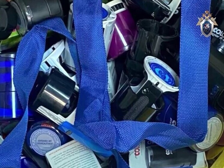 В Петербурге накрыли банду, зарабатывавшую миллионы на подделке налоговых документов