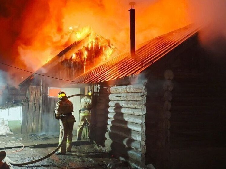 В частном хозяйстве Новоторъяльского района пожар повредил хозпостройки