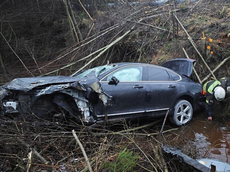 За выходные в ДТП в Ленобласти пострадали 10 взрослых и двое детей