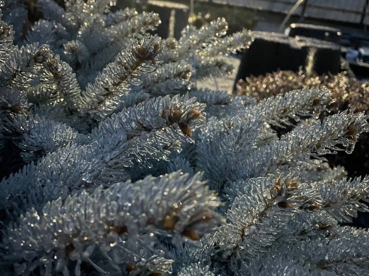 Ростовские коммунальщики в режиме готовности из-за надвигающейся непогоды