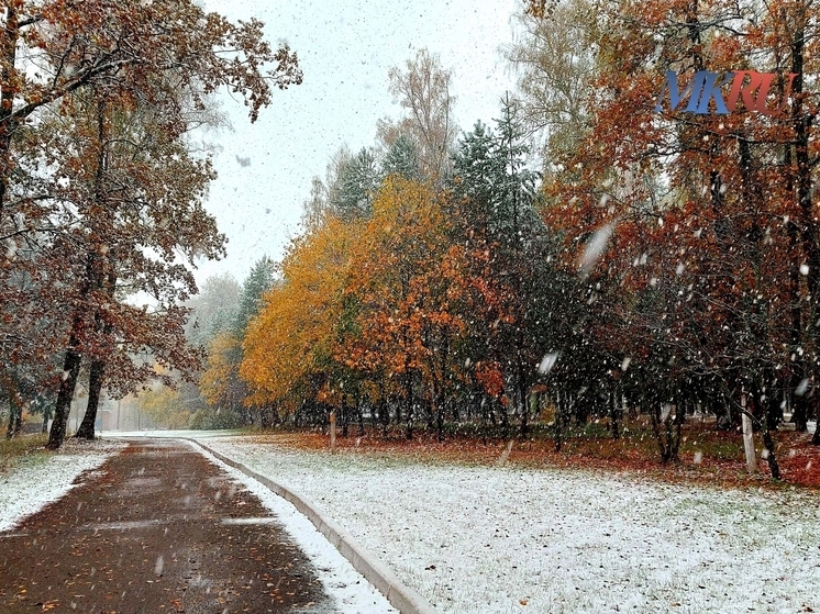 Калужанам пообещали небольшой снег