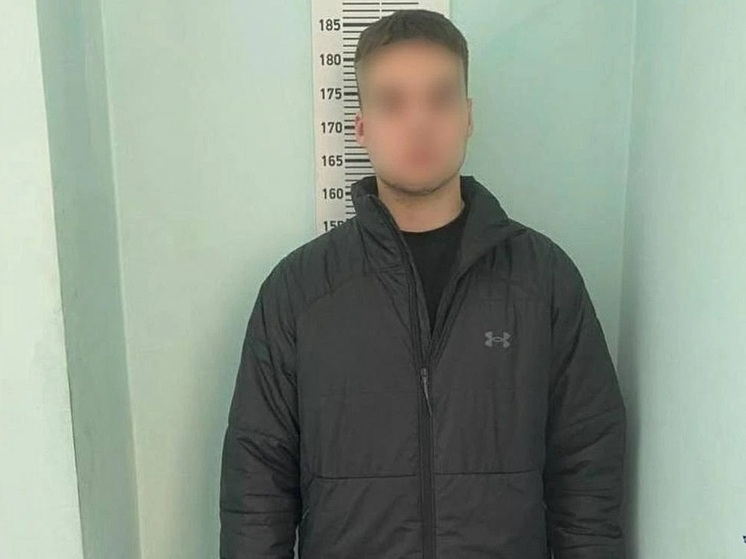 В Алтайском крае завершено расследование уголовного дела о 20 эпизодах мошенничества и неправомерного доступа к компьютерной информации