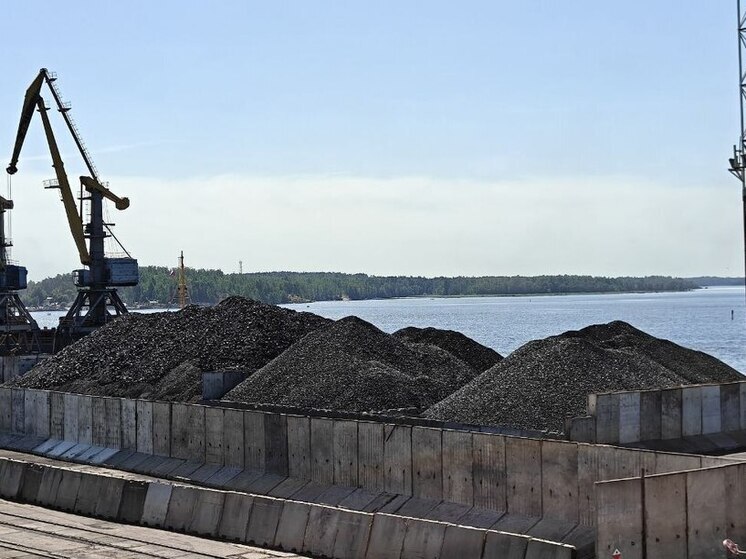 Петербургский санаторий «Березка» закупит 550 тонн угля, чтобы не мерзли маленькие астматики