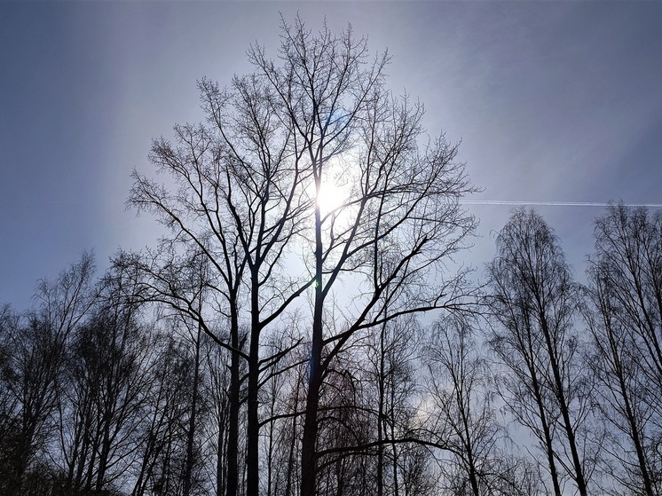 Астроном заявил, что свердловчане не увидят полярное сияние
