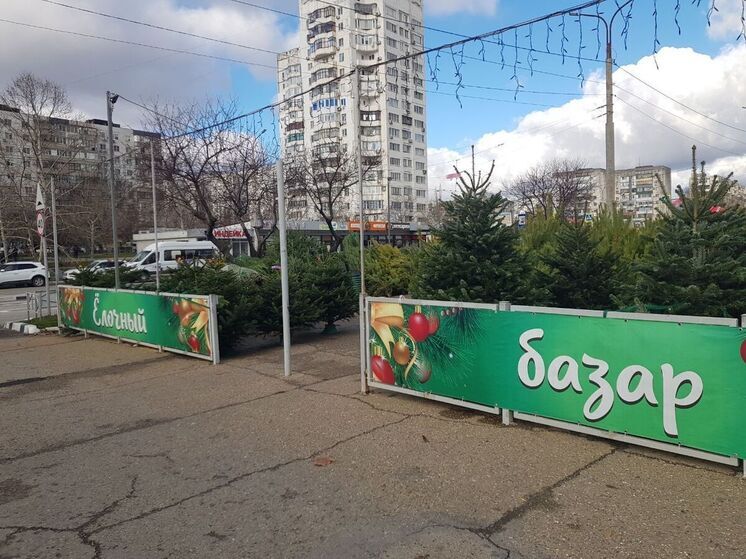 С 15 декабря в Новороссийске откроются площадки по продаже новогодних елок: адреса