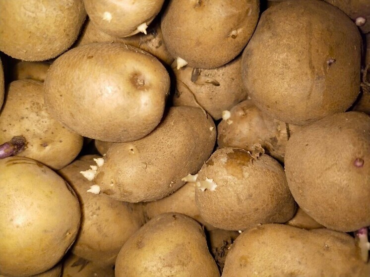 Картофель по 24 рубля: мэр Белгорода – о самых низких ценах на продукты