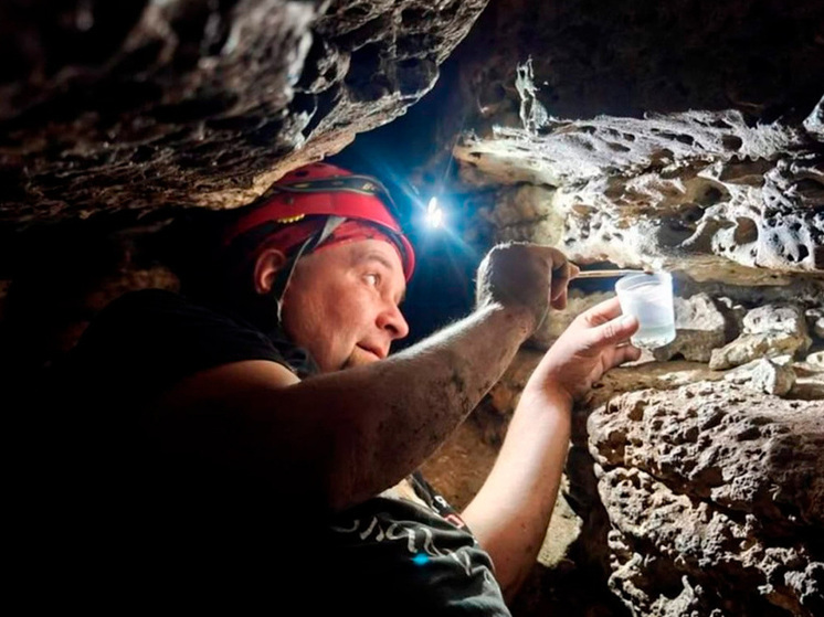 В Липецкой области обнаружены 15 новых пещер