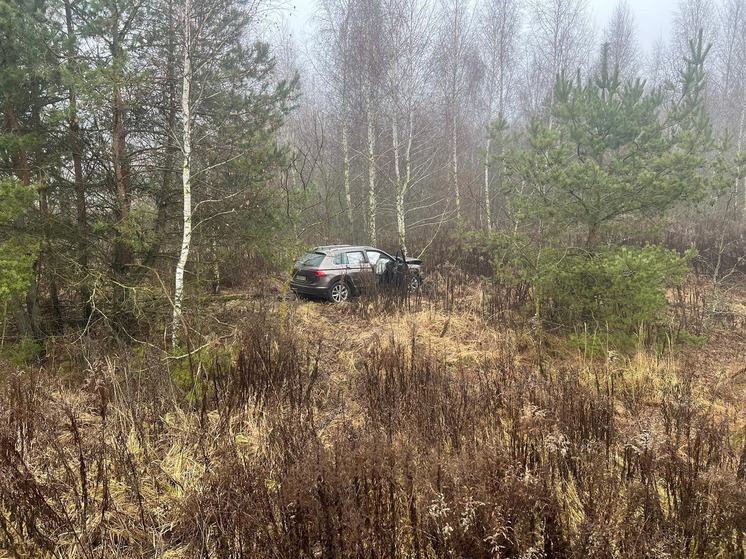 Под Орлом автоледи на кроссовере съехала в кювет и врезалась в дерево