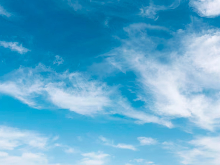 Липчане очистили 800 км прибрежных зон от мусора в рамках акции «Вода России»