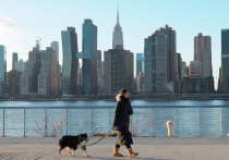 5 ноября на выборах мэра крупнейшего города США — Нью-Йорка - победил Зохран Мамдани, который называет себя демократическим социалистом