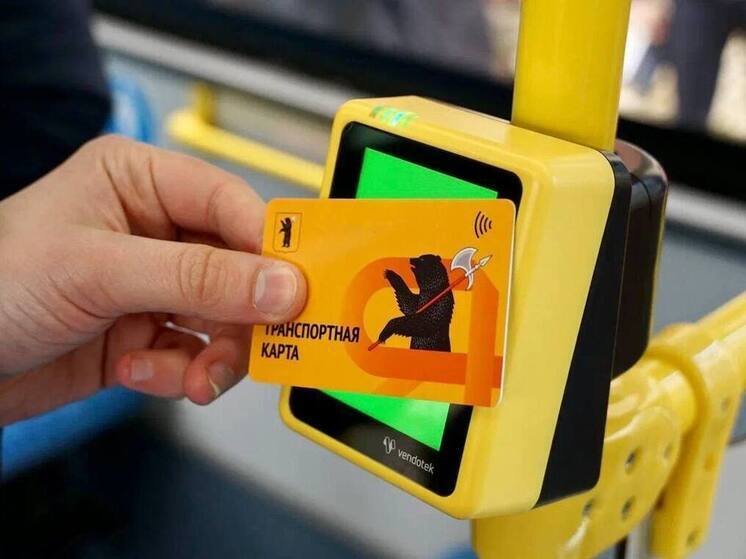 В Ярославле произошел очередной сбой в работе валидаторов